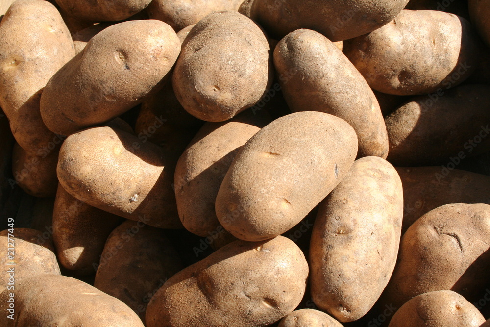 Russet Potatoes