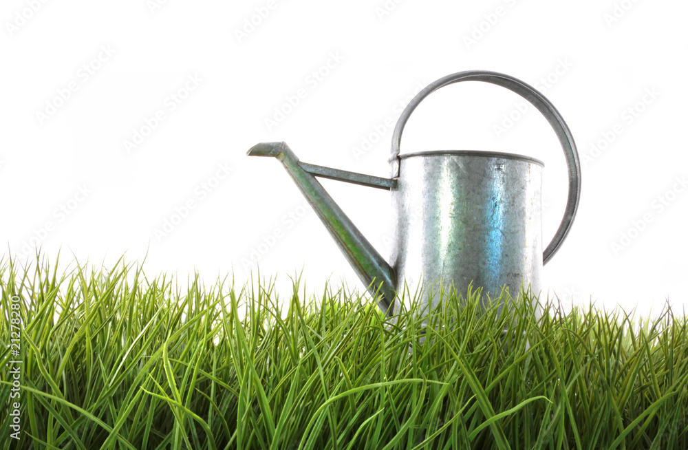 Old watering can in grass with white Old watering can in grass with white