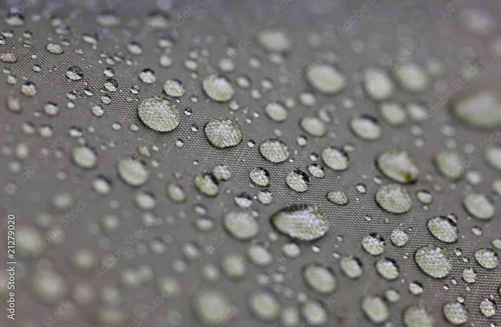 Fototapeta premium after rain