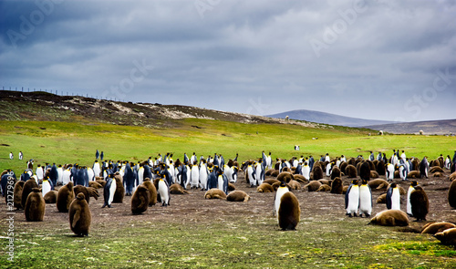Foto Volunteer Point
