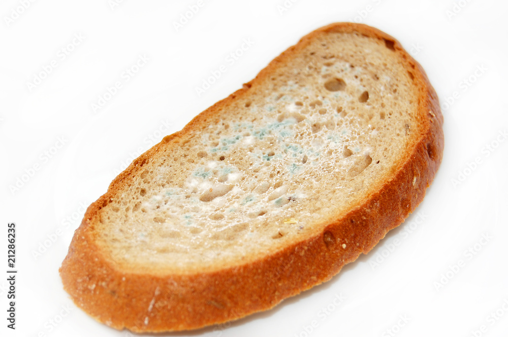 Musty bread islolated on white