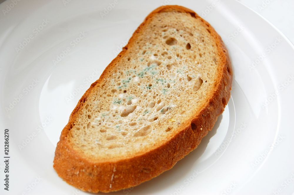 Musty bread on plate