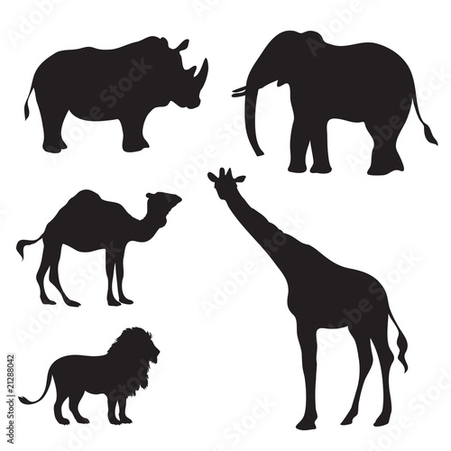 exotic african animals silhouette vector