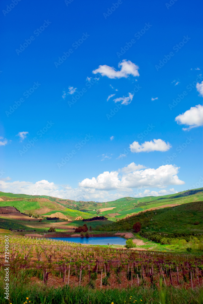 cloudy blue sky on green fields on lake cloudy blue sky on green fields on lake