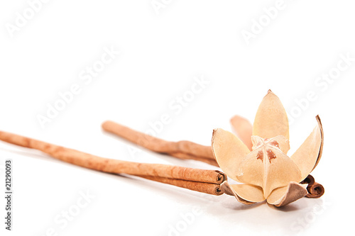 Cinamon sticks and flower