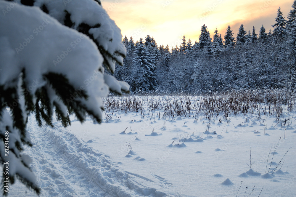 Fototapeta premium Winter landscape