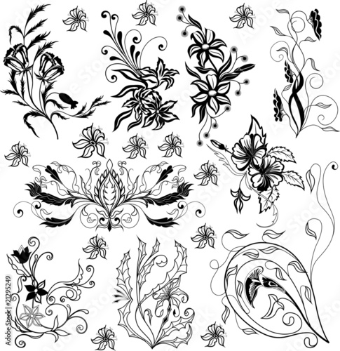 Floral elements for design