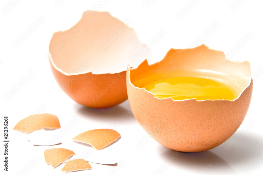 Egg Egg