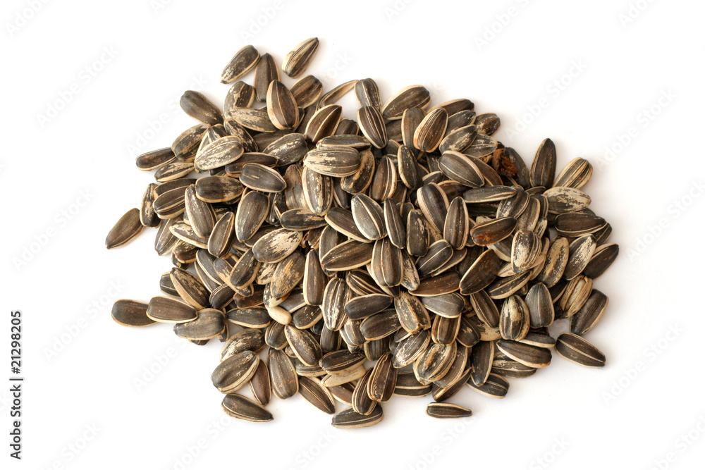 Sunflower seed Sunflower seed