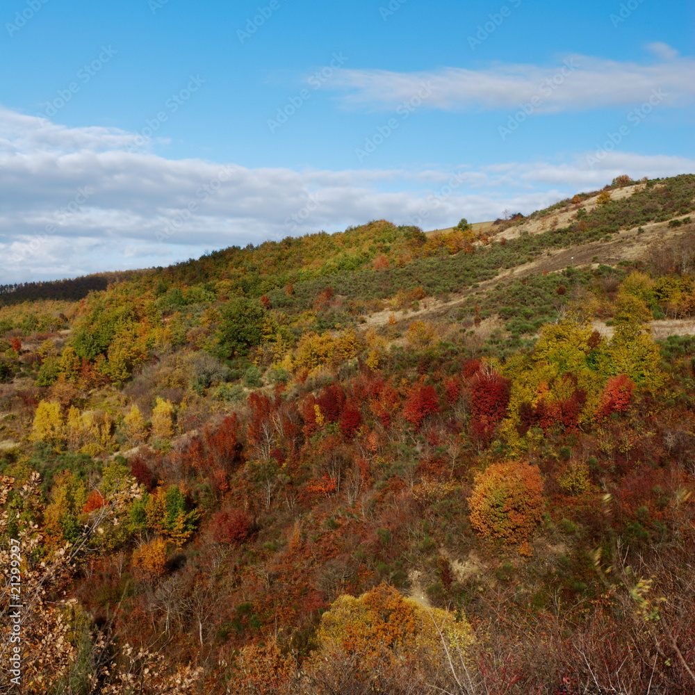 Autumn colors on hills Autumn colors on hills
