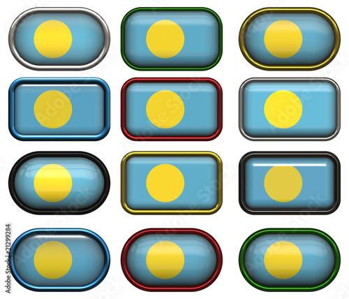 twelve buttons of the Flag of Palau photo