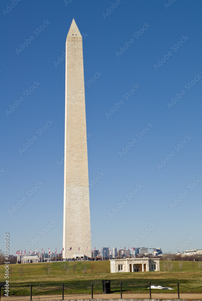 View of the Washington Monument vertical