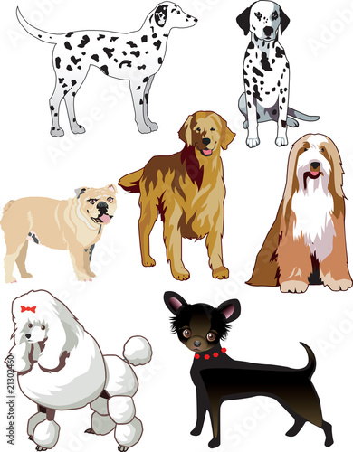 Dogs