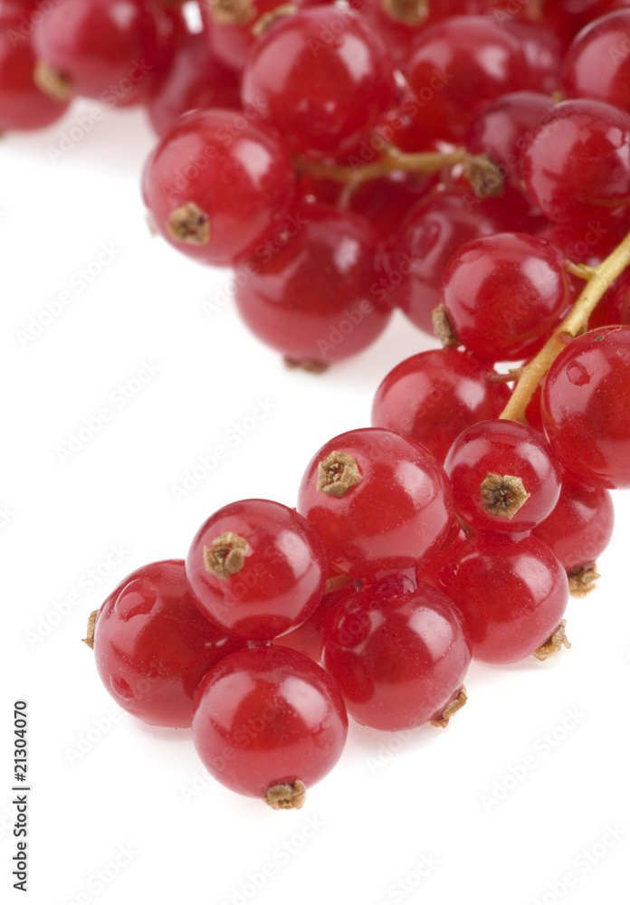 Red currant Red currant