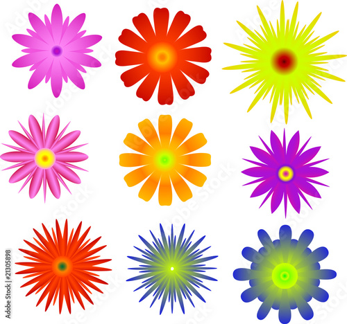 nine bright color flower collection