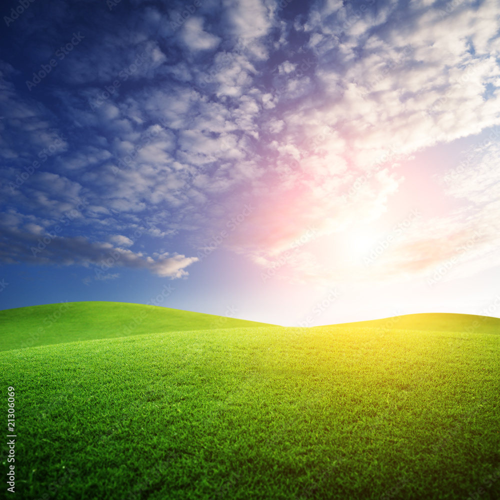 field of grass and perfect sunset sky