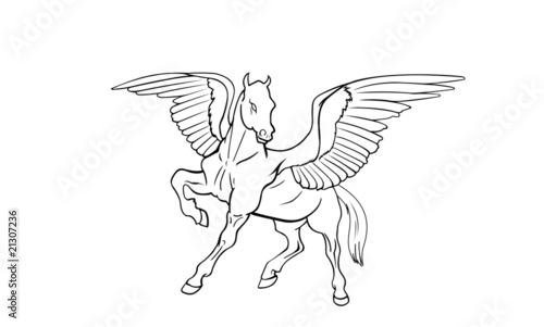 Pegasus side view