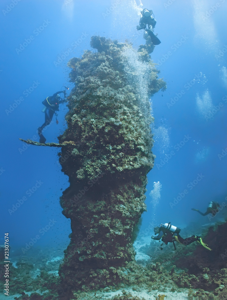 Divers on the coral reef