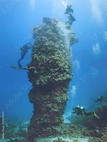 Obraz na płótnie Divers on the coral reef w salonie