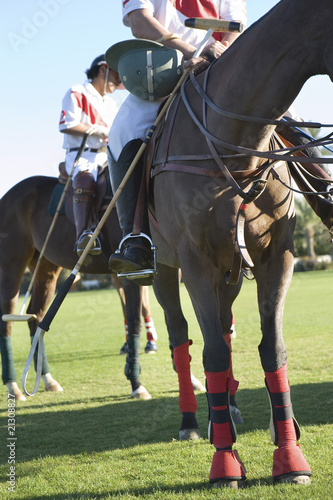 polo players mounted on polo ponies low section