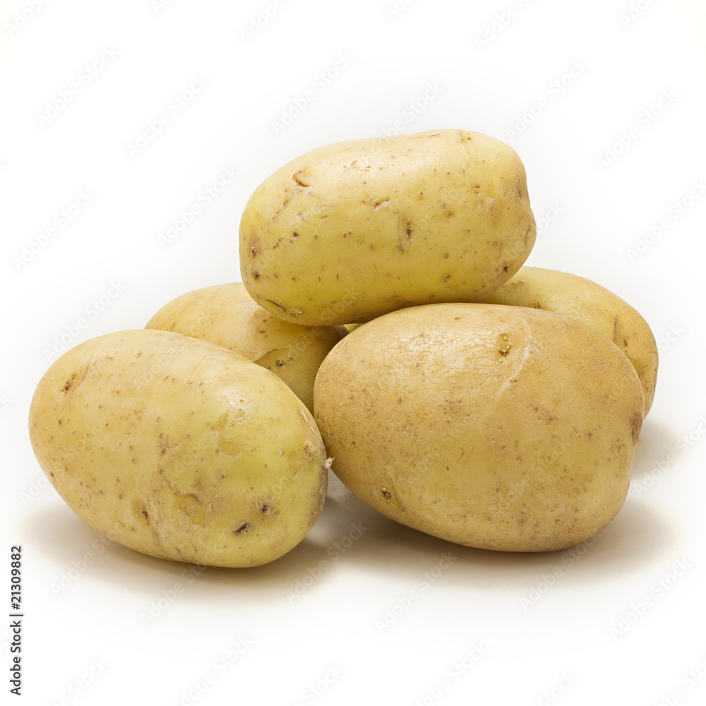 bunch of potatoes on white background bunch of potatoes on white background