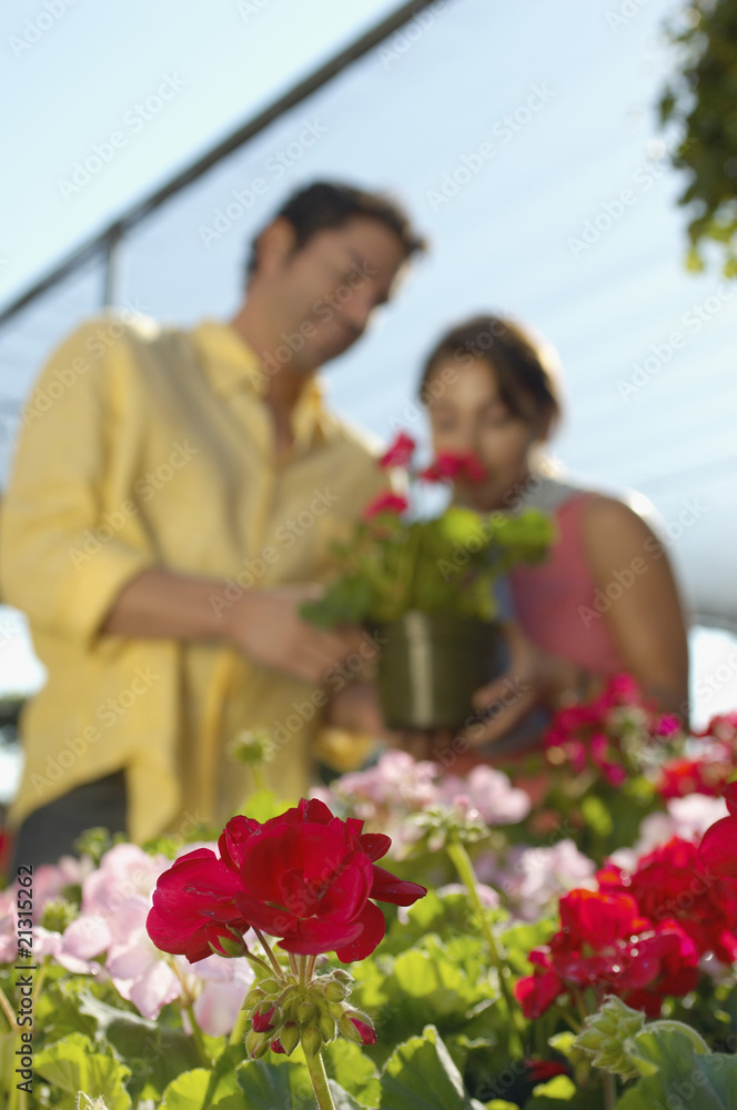 couple selecting plants at nursery couple selecting plants at nursery