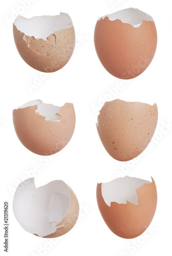 Six broken egg shells