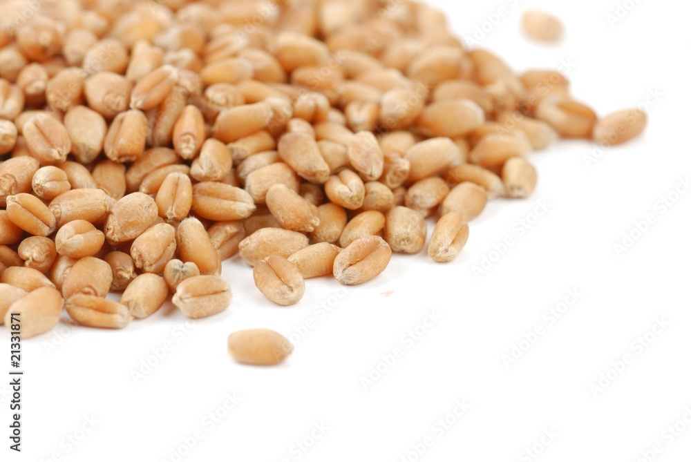 wheat seeds wheat seeds