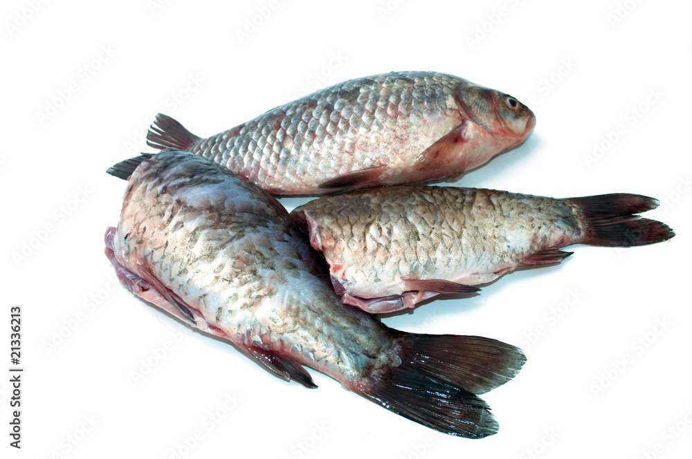 Fototapeta premium Fresh fish