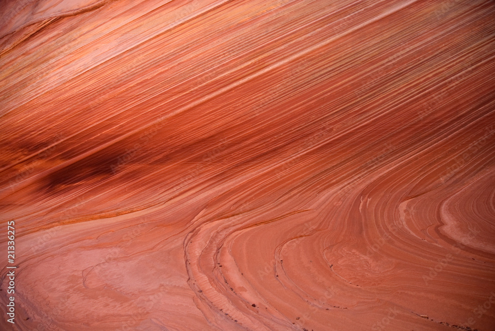 Obraz premium The Wave, Paria canyon