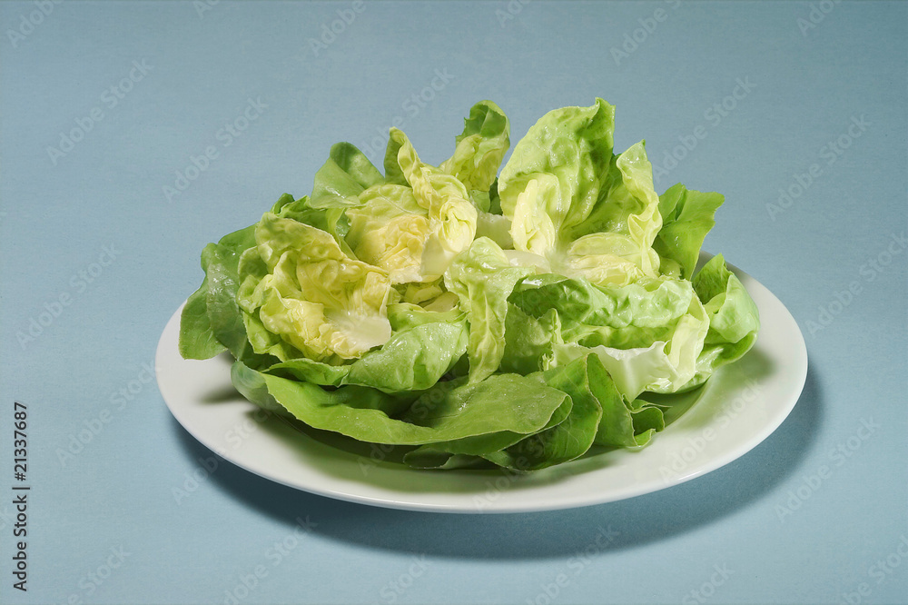 Kopfsalat, Salatkopf Kopfsalat, Salatkopf