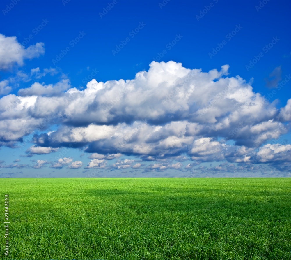 green spring field under a cloudy sky green spring field under a cloudy sky
