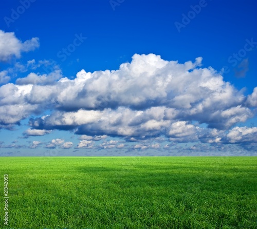 green spring field under a cloudy sky