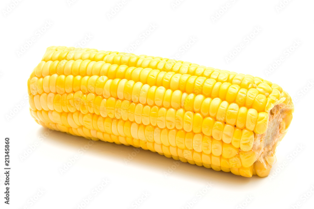 Corn on white background Corn on white background