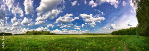 Stitched Panorama of green summer field