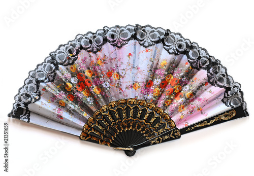 Elegant fan, isolated on white background
