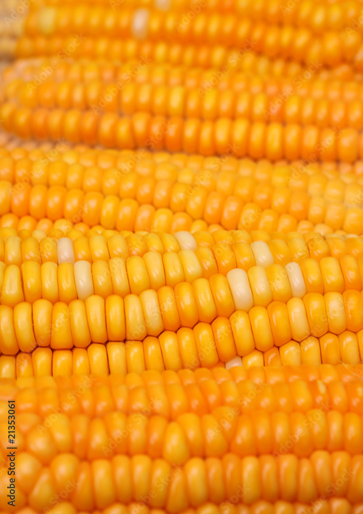 Corn Corn