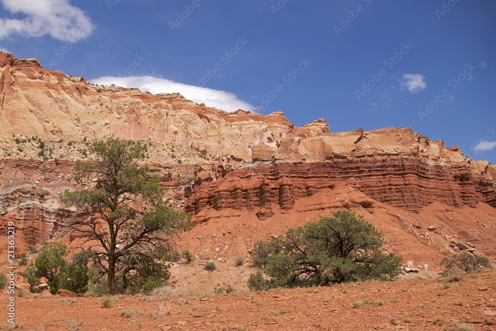 The spectacular colours of Capitol Reef National Park