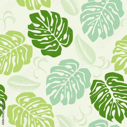 Monstera