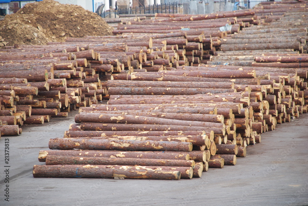logs logs
