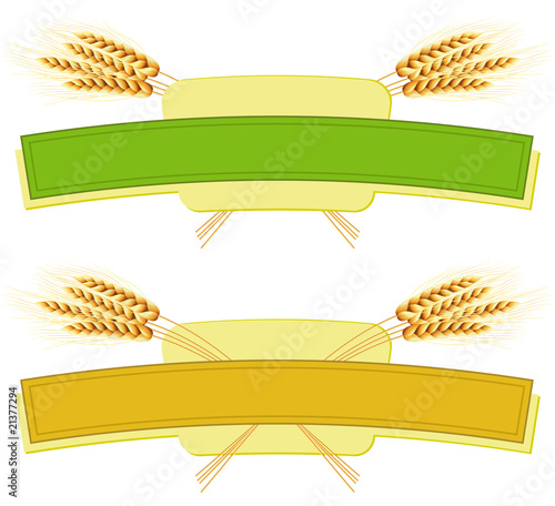 Package desing. Wheat flour or Pasta, macaroni, spaghetti.