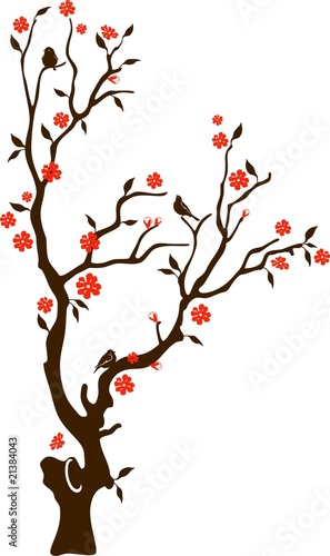 Oriental cherry with birds