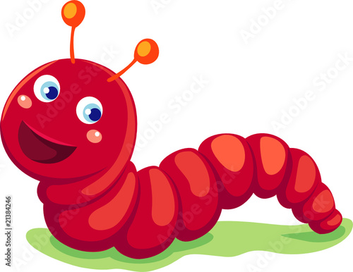 worm