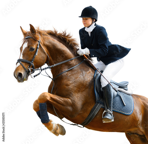 Tablou canvas Young girl jumping with sorrel horse - isolated on white