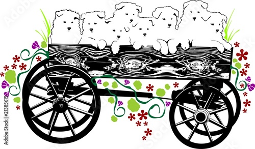 Puppies in a cart