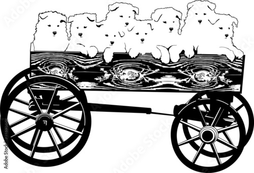 Puppies in a cart