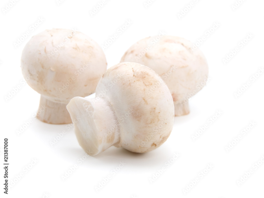 champignon isolated on white background. champignon isolated on white background.
