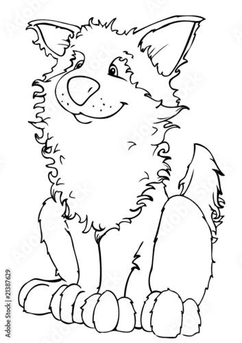 Wolf, Husky, Schlittenhund