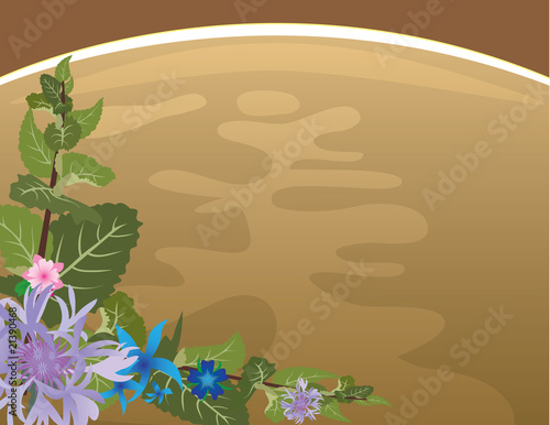 Herbal tea background with mint and flowers