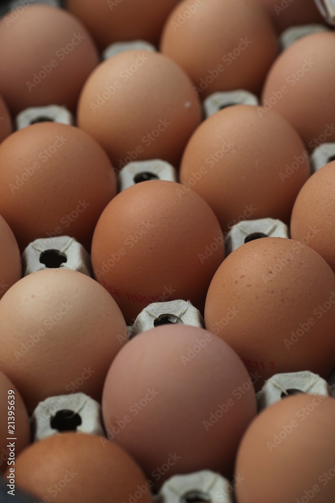 Eier Eier